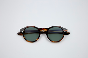 WALT POLARIZED SUN